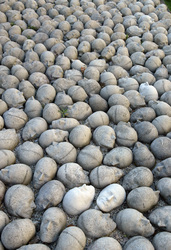 Kopfsteinpflaster von Timm Ulrichs