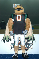 Berlin Thunder Maskottchen