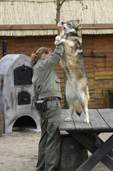 Claudia Blume mit Wolf Tatanka
