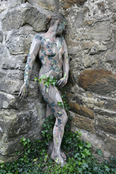 Efeu auf Stein / Ivy on Rock
