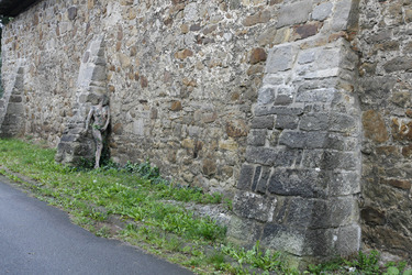 Efeu auf Stein / Ivy on Rock