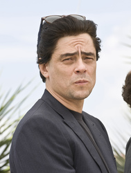 Benicio Del Toro
