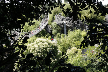 La Cabane des Robinson