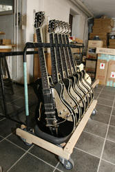 Dusenberg DTV-Plus Gitarren