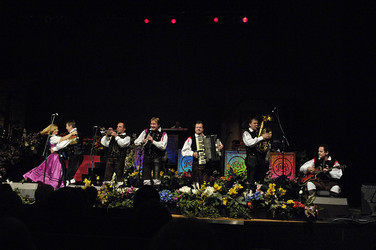 Die Jungen Original Oberkrainer