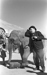 Hans Richter, Rudolf Carl