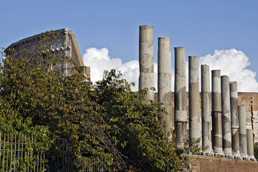 Colosseo / Kolosseum hinter Tempel der Venus und der Roma