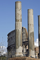 Colosseo / Kolosseum hinter Tempel der Venus und der Roma