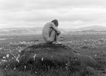 Feld auf Wiese / Rock on Meadow