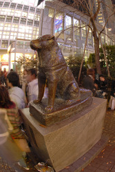 Hachiko Denkmal am Bahnhof Shibuya