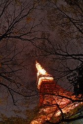 Tokyo Tower