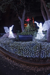 Weihnachtsimpression an der Tokyo Medical and Surgical Clinic