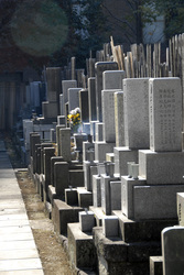 Friedhof am Shojuin Tempel