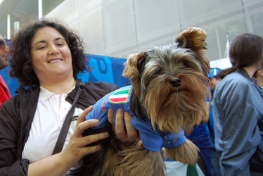 Italienischer Fußball-Fan