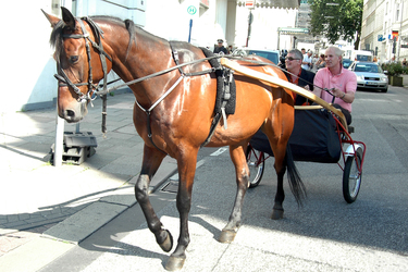 Heinz Hoenig, Henning Rathjen