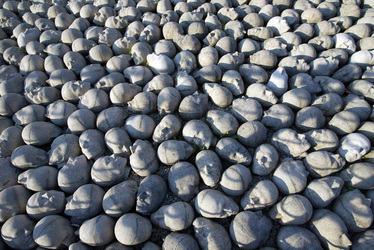 Kopfsteinpflaster von Timm Ulrichs