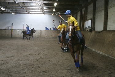 Polocrosse Spieler
