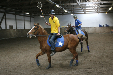 Polocrosse Spieler