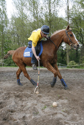 Polocrosse Spieler