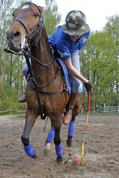 Polocrosse Spieler