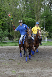 Polocrosse Spieler