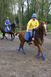 Polocrosse Spieler