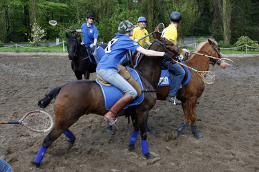Polocrosse Spieler