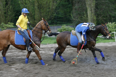 Polocrosse Spieler