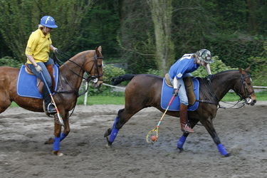 Polocrosse Spieler