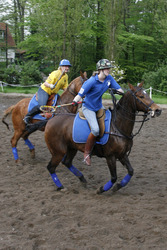 Polocrosse Spieler
