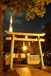 Torbogen am Zojyoji Tempel und Tokyo Tower