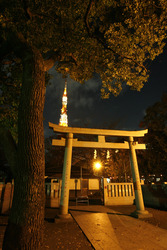 Torbogen am Zojyoji Tempel und Tokyo Tower