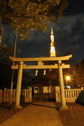 Torbogen am Zojyoji Tempel und Tokyo Tower