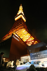 Tokyo Tower