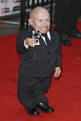 Verne Troyer