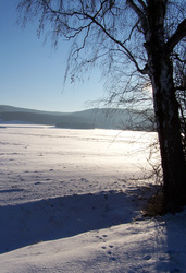 Schneebedecktes Feld