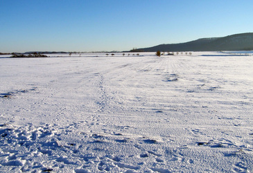 Schneebedecktes Feld