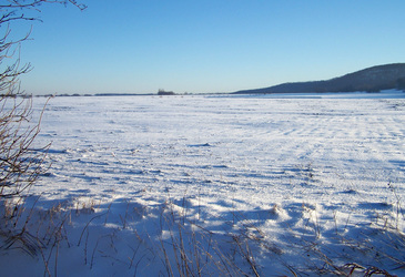 Schneebedecktes Feld