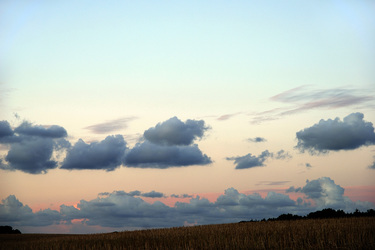 Stoppelfeld mit Abendwolken