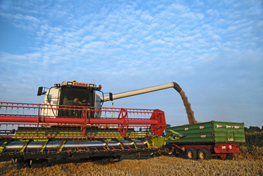 Mähdrescher und Traktor mit Anhänger