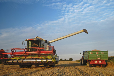 Mähdrescher und Traktor mit Anhänger