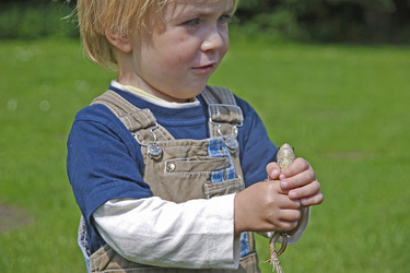 Junge mit Frosch