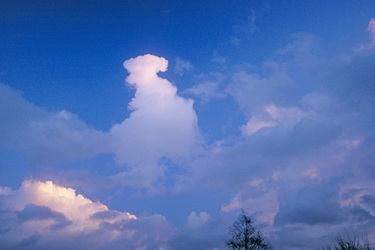 Rosa Kumulus in der Abendsonne