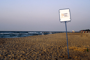 Hundebadestrand