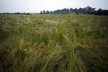 Kirche über einem verwilderten Feld ein kleiner Ort kurz vor Saßnitz auf einem Hügel