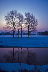 Winterliche Dämmerung an einem Fluss