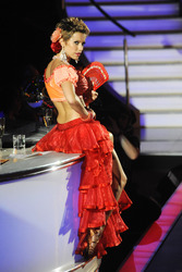 Sylvie van der Vaart