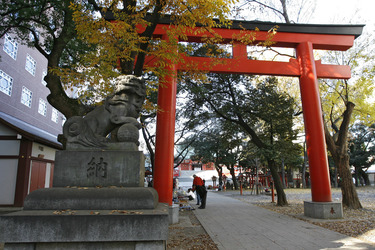 Am Hanazono-jinja Schrein