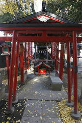 Am Hanazono-jinja Schrein