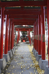 Am Hanazono-jinja Schrein